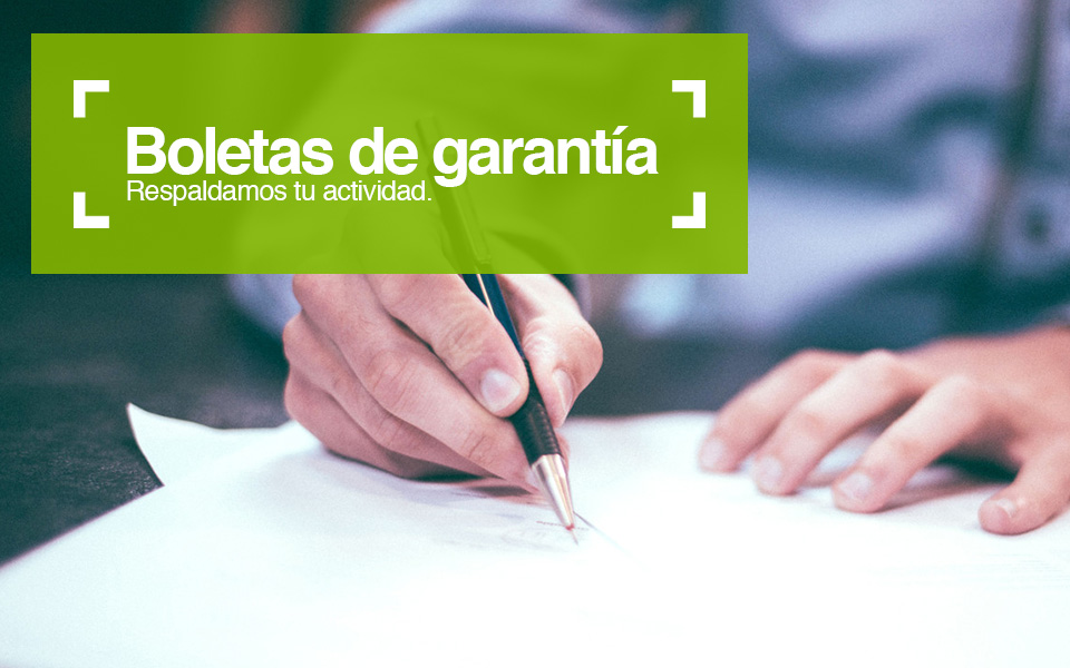 Boletas de Garantia 2