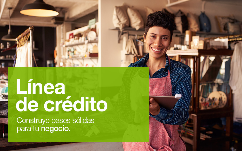 Linea de Credito Rotativa 2